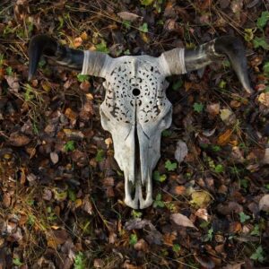 Sample Skull - Image 4