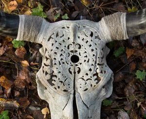 Sample Skull - Image 3